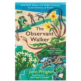 The Observant Walker