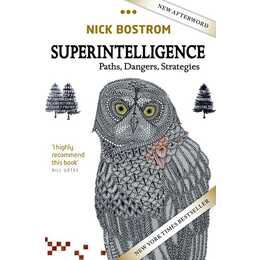 Superintelligence
