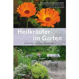 Heilkräuter im Garten