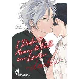 I Didn't Mean to Fall in Love – double