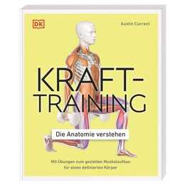 Krafttraining - Die Anatomie verstehen