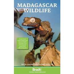 Madgascar Wildlife
