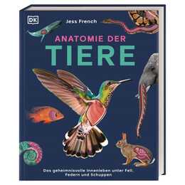 Anatomie der Tiere
