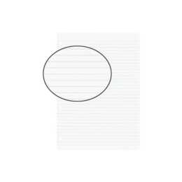 BIELLA Einlageblatt 450441 (A4, Liniert, 100 Stück)