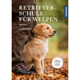 Retrieverschule für Welpen