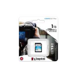 KINGSTON TECHNOLOGY SD Canvas Go! Plus (Video Class 30, UHS-I Class 1, Class 10, UHS-I Class 3, 1000 GB, 170 MB/s)