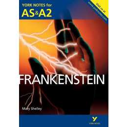 Frankenstein: York Notes for AS & A2