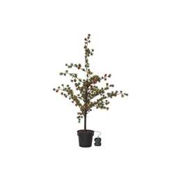 STAR TRADING Albero illuminato Larix (Albero, 40 LEDs)
