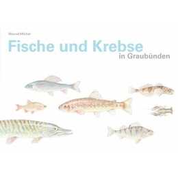 Fische und Krebse in Graubünden