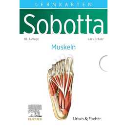 Sobotta Lernkarten Muskeln