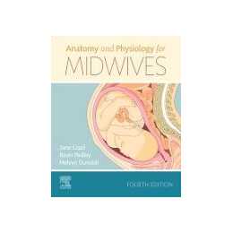 Anatomy And Physiology For Midwives Interdiscount