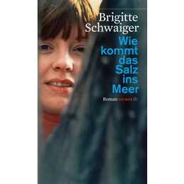 Wie kommt das Salz ins Meer
