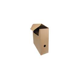 OFFICE FOCUS Box archivio (10 cm x 27 cm x 33 cm)