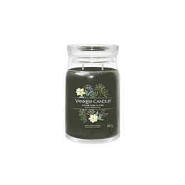 YANKEE CANDLE Candela profumata Silver Sage & Pine (9.4 cm, Verde scuro)