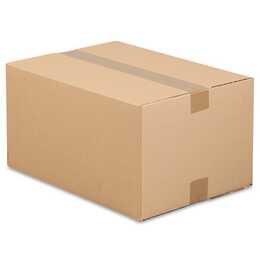ANTALIS Versandbox Branowell (59 cm x 39 cm x 23 cm, 25 Stück)