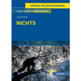 Nichts von Janne Teller - Textanalyse und Interpretation