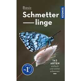 Basic Schmetterlinge