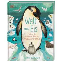 Welt aus Eis