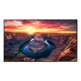 SAMSUNG QM55B-T (55", LCD)