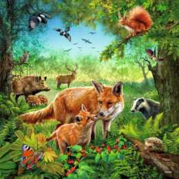 RAVENSBURGER Tiere 3D Puzzle (3 x 147 x, 49 x)