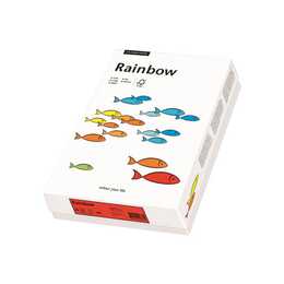 PAPYRUS Rainbow Farbiges Papier (500 Blatt, A4, 80 g/m2)