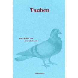 Tauben