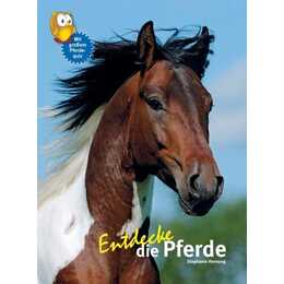 Entdecke die Pferde