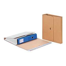 BRIEGER Versandbox (1 Stück)