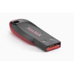SANDISK (128 GB, USB 2.0 de type A)