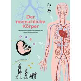 Der menschliche Körper