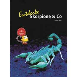 Entdecke Skorpione & Co