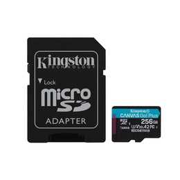 KINGSTON TECHNOLOGY MicroSD Canvas Go Plus (Video Class 30, Class 10, A2, 256 GB, 200 MB/s)