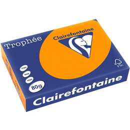 CLAIREFONTAINE Carta colorata (500 foglio, A4, 80 g/m2)