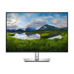 DELL P2425 (24.07", 1920 x 1200, Grigio, Nero)
