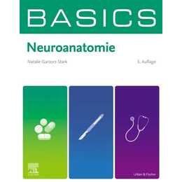 BASICS Neuroanatomie