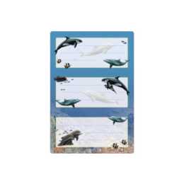 HERMA Étiquettes scolaires Dolphin (Multicolore, 6 pièce)