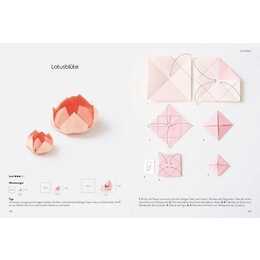 Das grosse Origami Buch