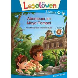 Abenteuer im Maya-Tempel