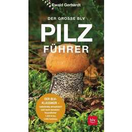 Der grosse BLV Pilzführer