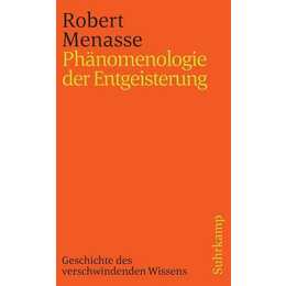 Phänomenologie der Entgeisterung