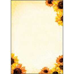 SIGEL Field of Sun Farbiges Papier (50 Blatt, A4, 90 g/m2)