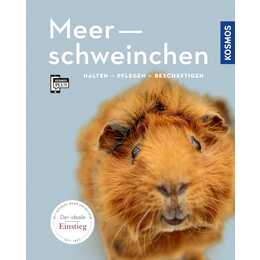 Meerschweinchen