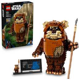 LEGO Star Wars Der Ewok Wicket (75430, seltenes Set)
