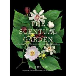 The Scentual Garden: Exploring the World of Botanical Fragrance