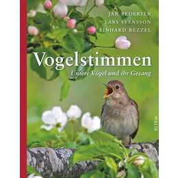 Vogelstimmen
