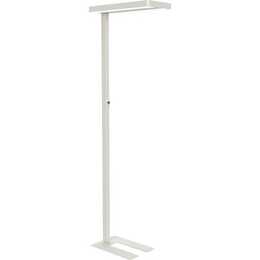 MAUL Lampadaire MAULjaval (196 cm)