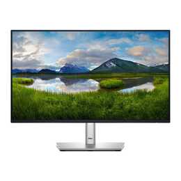 DELL P2425H (24", 1920 x 1080, Grau, Schwarz)