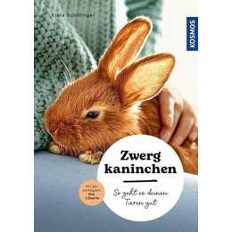 Zwergkaninchen