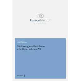 Sanierung und Insolvenz von Unternehmen VI