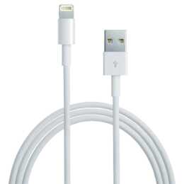 Apple Kabel & Adapter - günstig online kaufen - Interdiscount